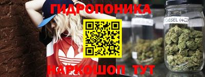 a pvp Краснодар