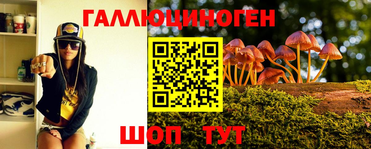 Галлюциногенные грибы прущие грибы  Вход с VPN  Великие Луки 